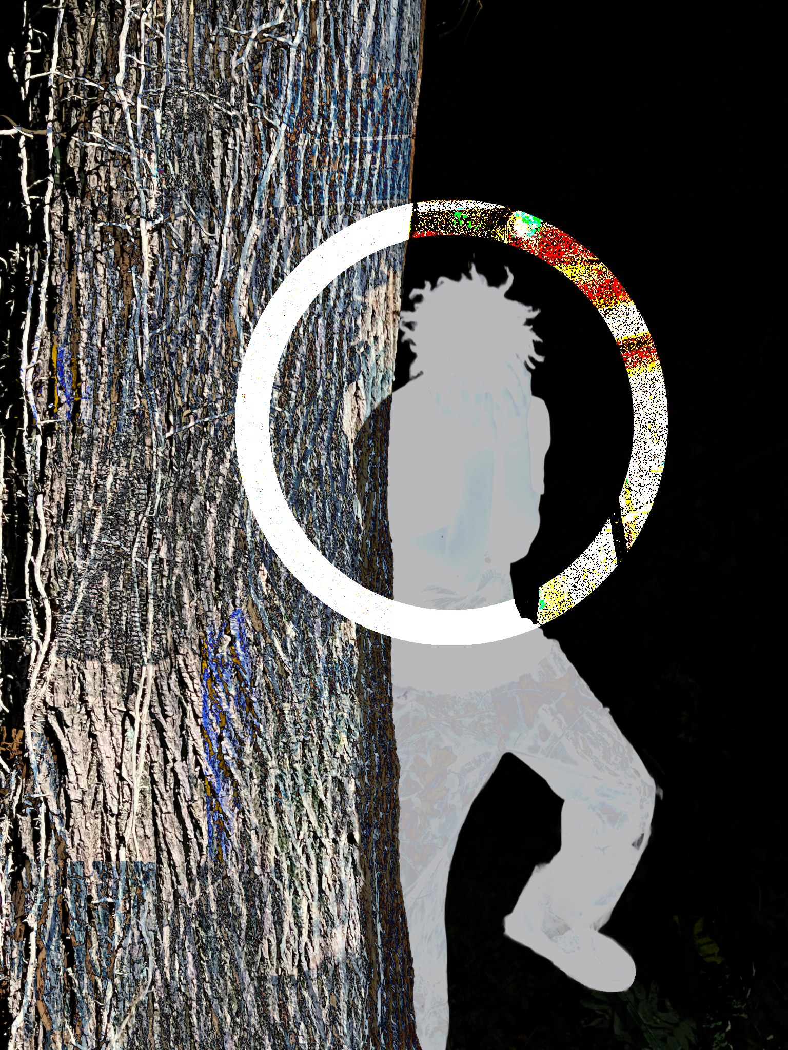 Art 5